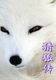猎狐传之凶手无...